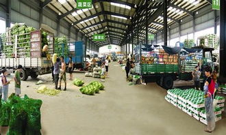 山東試水農產品批發市場監管新舉措 構建食用農產品安全防線