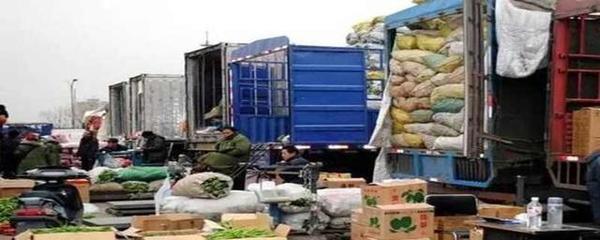 芭蕉為何不屬于鮮活農(nóng)產(chǎn)品運(yùn)輸“綠色通道”免費(fèi)范圍