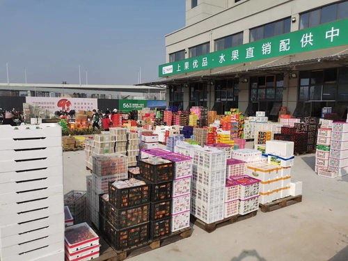 海吉星農(nóng)產(chǎn)品物流園盛大開業(yè) 安慶“菜籃子”升級(jí)，農(nóng)產(chǎn)品流通邁入新時(shí)代